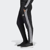 Spodnie Adidas Tiro 19 TR PNT 